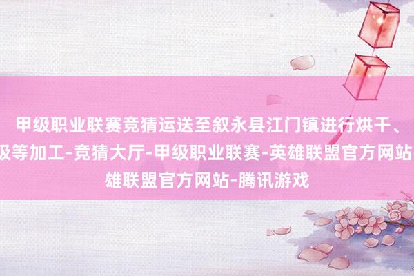 甲级职业联赛竞猜运送至叙永县江门镇进行烘干、拣选、分级等加工-竞猜大厅-甲级职业联赛-英雄联盟官方网站-腾讯游戏