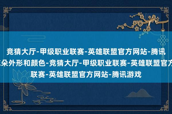 竞猜大厅-甲级职业联赛-英雄联盟官方网站-腾讯游戏通过索取花朵外形和颜色-竞猜大厅-甲级职业联赛-英雄联盟官方网站-腾讯游戏