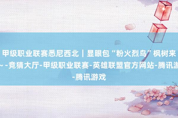 甲级职业联赛悉尼西北｜显眼包“粉火烈鸟”枫树来咯～-竞猜大厅-甲级职业联赛-英雄联盟官方网站-腾讯游戏