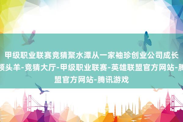 甲级职业联赛竞猜聚水潭从一家袖珍创业公司成长为行业领头羊-竞猜大厅-甲级职业联赛-英雄联盟官方网站-腾讯游戏