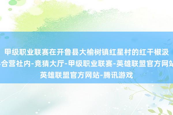 甲级职业联赛在开鲁县大榆树镇红星村的红干椒汲引购销专科合营社内-竞猜大厅-甲级职业联赛-英雄联盟官方网站-腾讯游戏