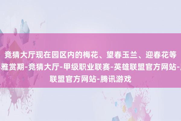 竞猜大厅现在园区内的梅花、望春玉兰、迎春花等已插足不雅赏期-竞猜大厅-甲级职业联赛-英雄联盟官方网站-腾讯游戏